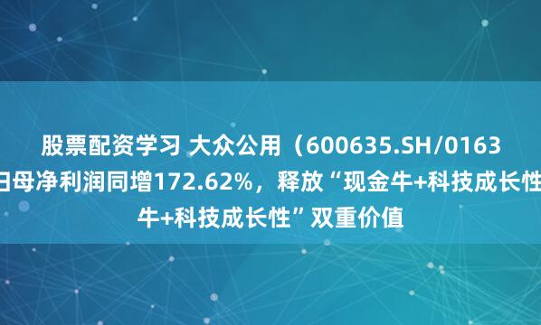 股票配资学习 大众公用（600635.SH/01635.HK）：归母净利润同增172.62%，释放“现金牛+科技成长性”双重价值